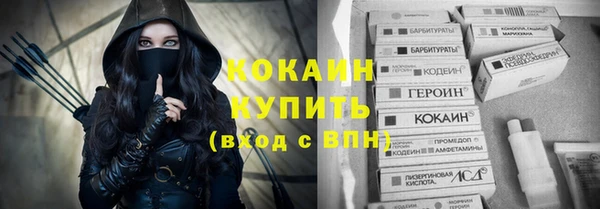 крисы Баксан