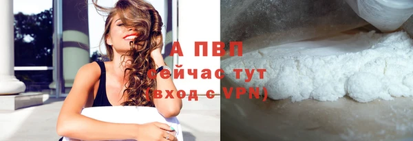 крисы Баксан