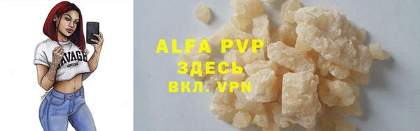 крисы Баксан