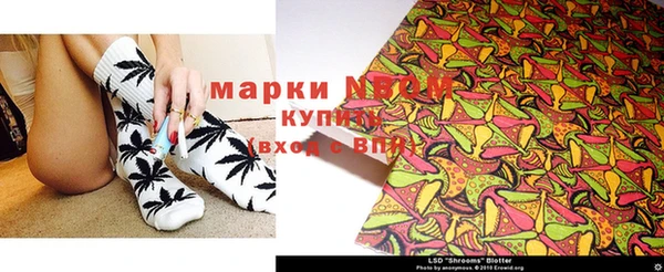 крисы Баксан